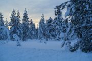 20200204_Finland_0852