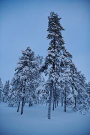 20200204_Finland_0856