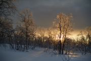 20200205_Finland_1963