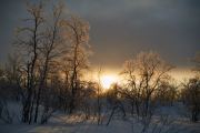 20200205_Finland_1964