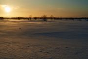 20200206_Finland_2065