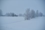 20200208_Finland_2690