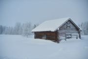 20200208_Finland_2695