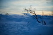 20200208_Finland_2741
