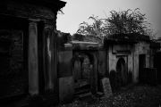 20171016_Edinburgh_0044_1200