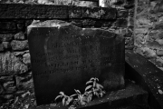20171016_Edinburgh_0048_1200
