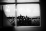 20191121_Zingst_0232_1200